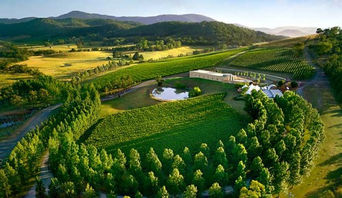 Best Winery in the USA-Napa Valley &amp; Sonoma
